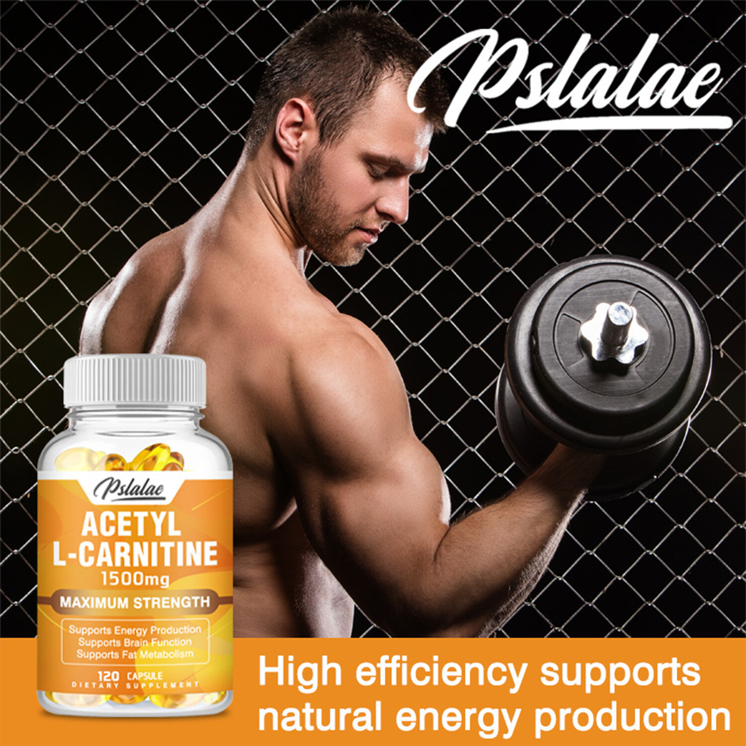 Acetyl-L-Carnitine 1500mg – Weight Loss, Brain & Nervous System Health