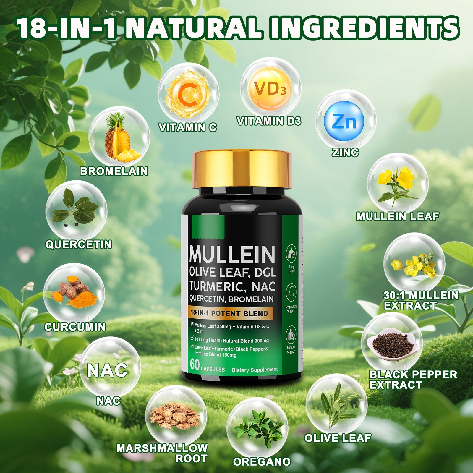 Mullein Lung Detox – Turmeric Quercetin Bromelain NAC Respiratory & Lung Support