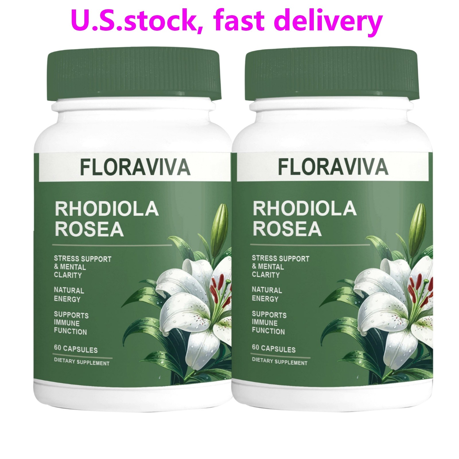 2-Pack Rhodiola Rosea Capsules – Floraviva for Energy, Focus, Mood -120 Capsules