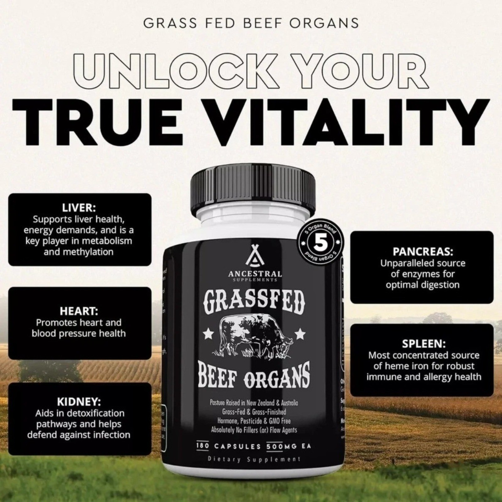 Premium new Ancestral Supplements Grass Fed Beef Organ Supplement 180 Capsules