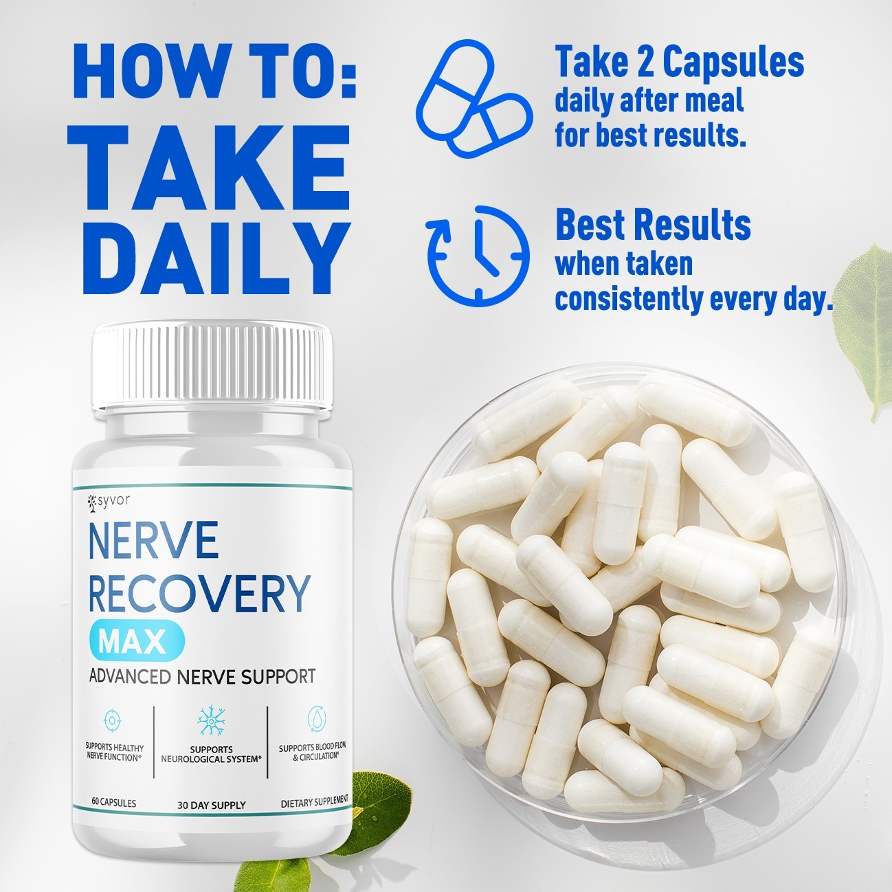 (1 Pack) Nerve Recovery Max Nootropic Formula All Natural Supplement 60 Capsules