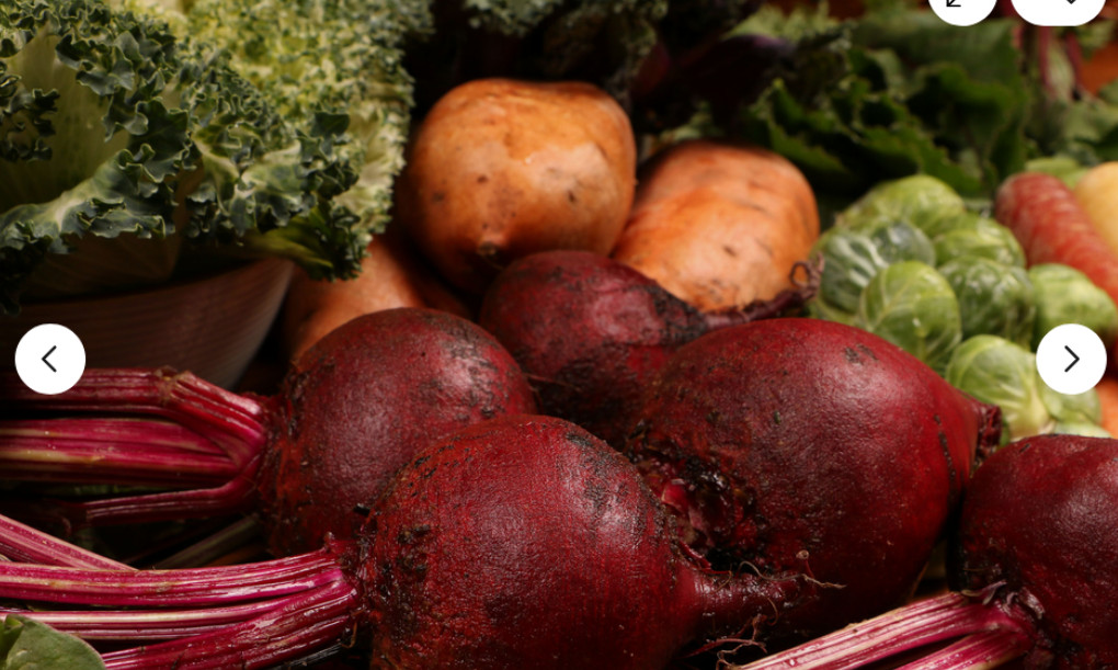 Standard Process Purification Kit with SP Complete and Whole Food Fiber