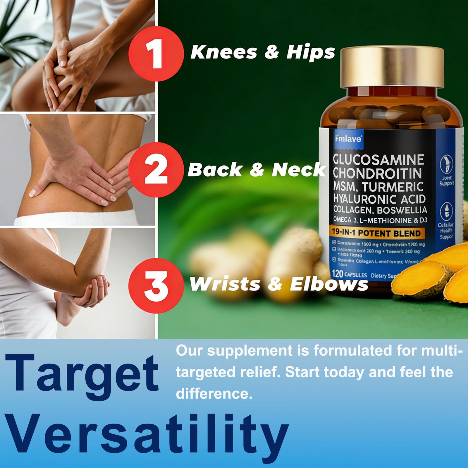 Glucosamine Chondroitin Collagen Hyaluronic Acid MSM Turmeric Joint Support 120c
