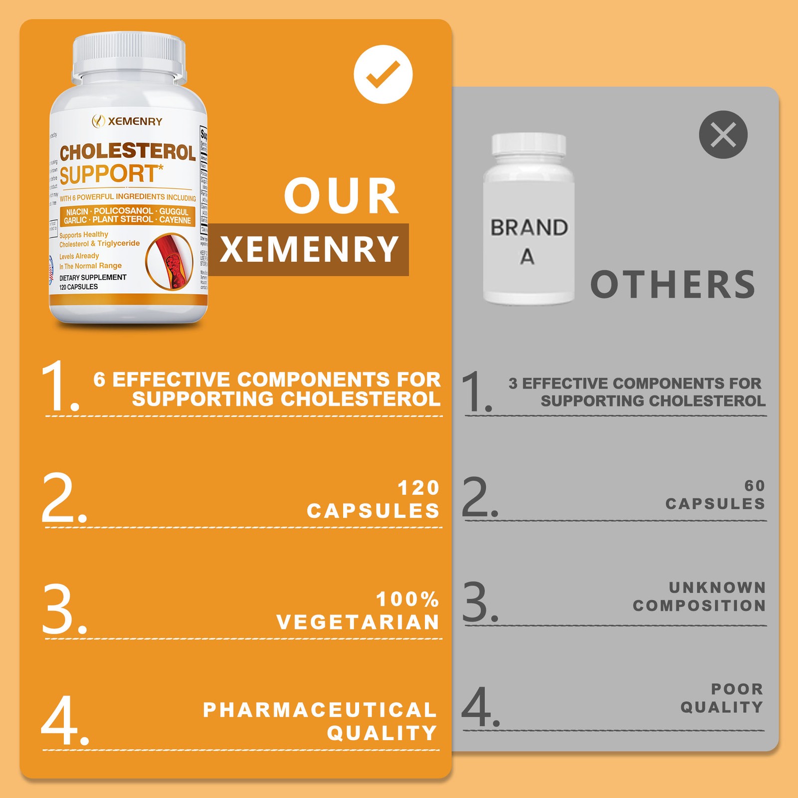 Cholesterol Support – Balance Cholesterol Supplement High Cholesterol Lowering