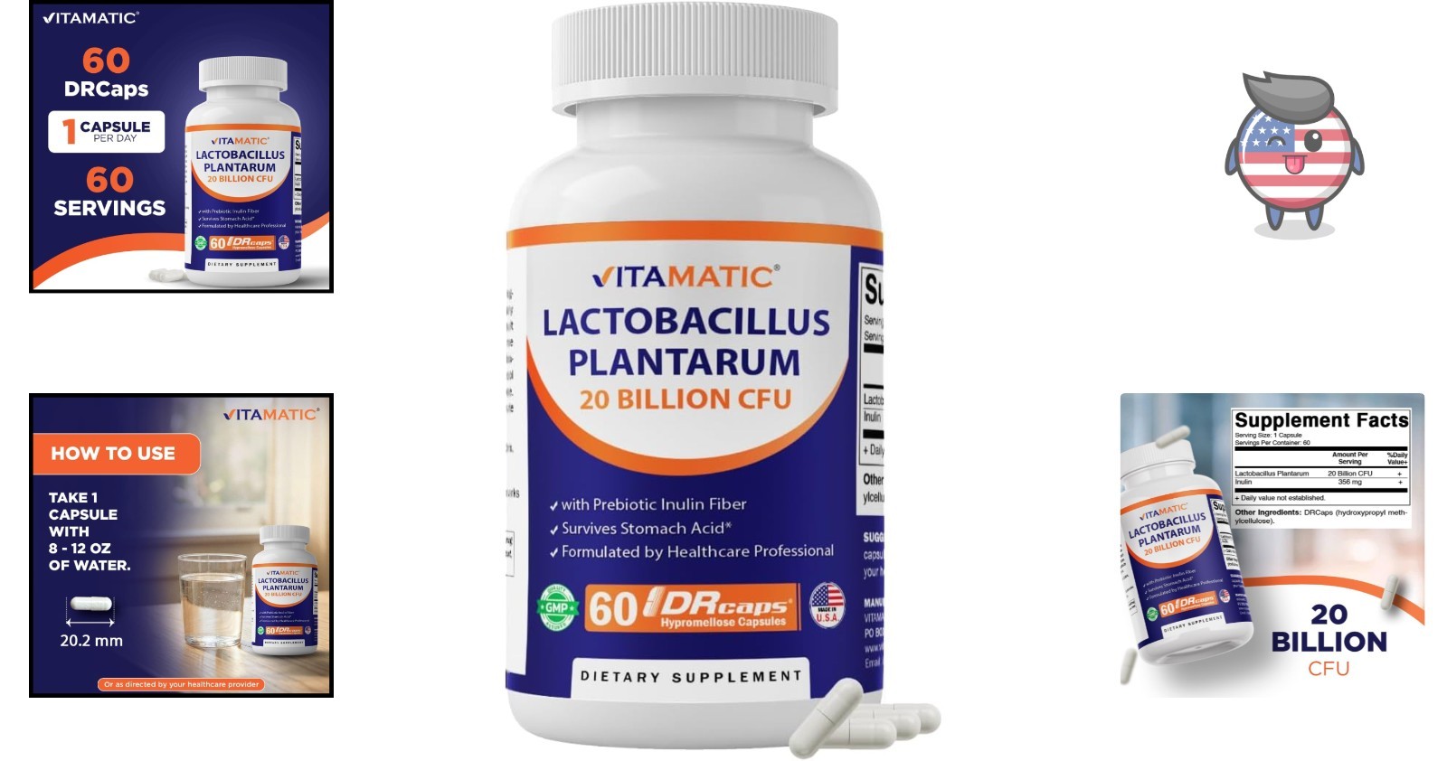 60 Count Lactobacillus Plantarum Capsules with Prebiotic Inulin for Gut Wellness