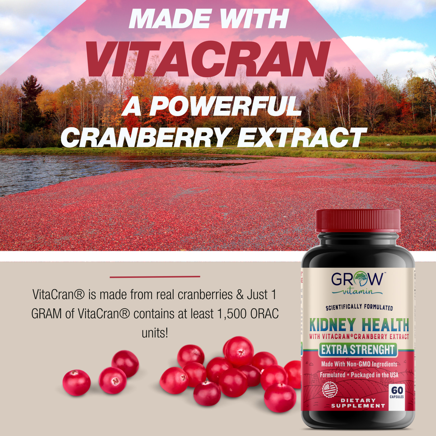 Premium Kidney Support Supplement by grow vitamin | Kidney Cleanse EXP 07/2024