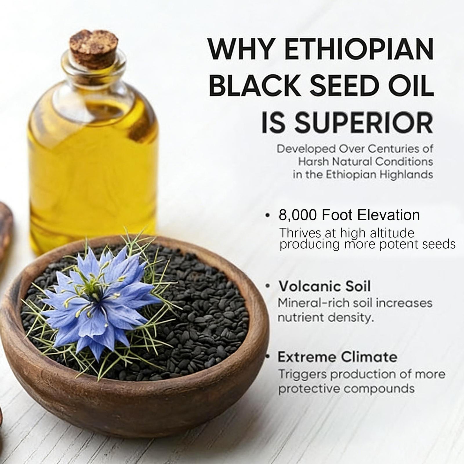 60 Count Black Seed Oil Softgels Daily Herbal Nutritional Dietary Supplement