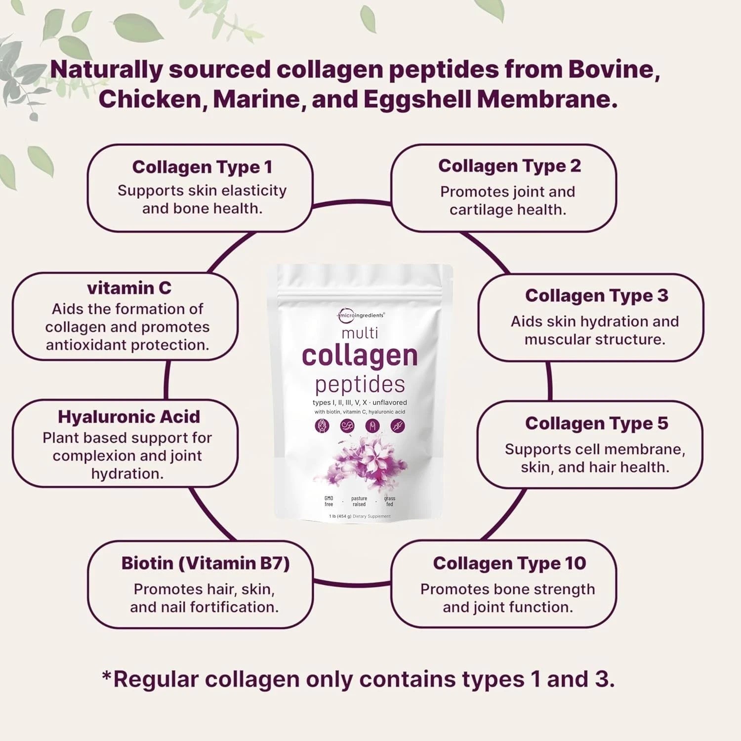 3 PACK Multi Collagen Peptides Powder 1 lb Hydrolyzed Protein Peptide