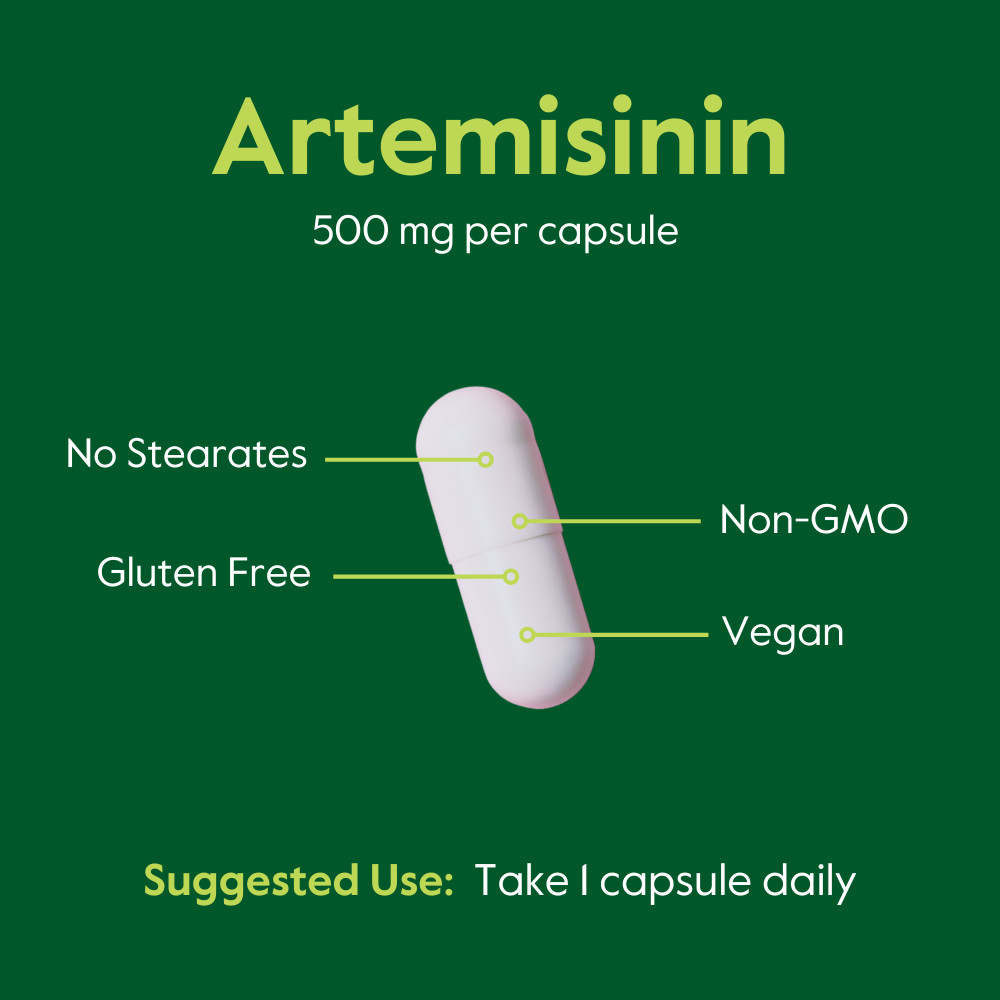 Artemisinin 500mg (60 Vegetarian Capsules) – No Fillers – Gluten Free – Non GMO