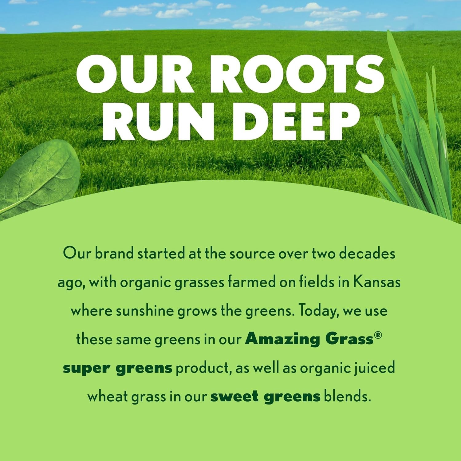 Amazing Grass Super Greens On-The-Go, 15 Packets, Organic Superfood, Travel Size