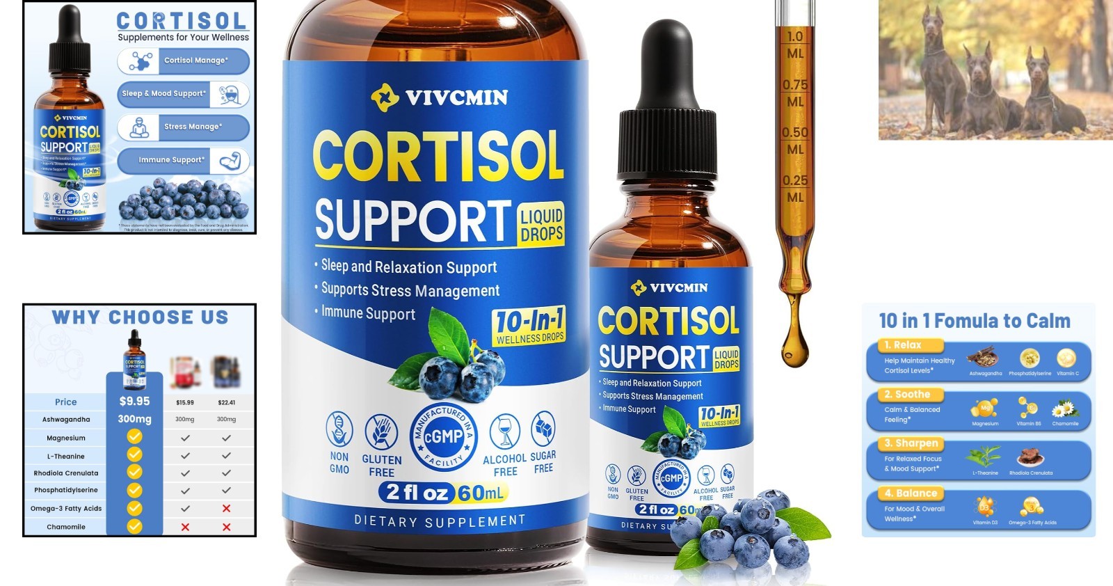 10-in-1 Cortisol Reducer with Ashwagandha – Mood & Sleep Support Drops, 2 Fl Oz