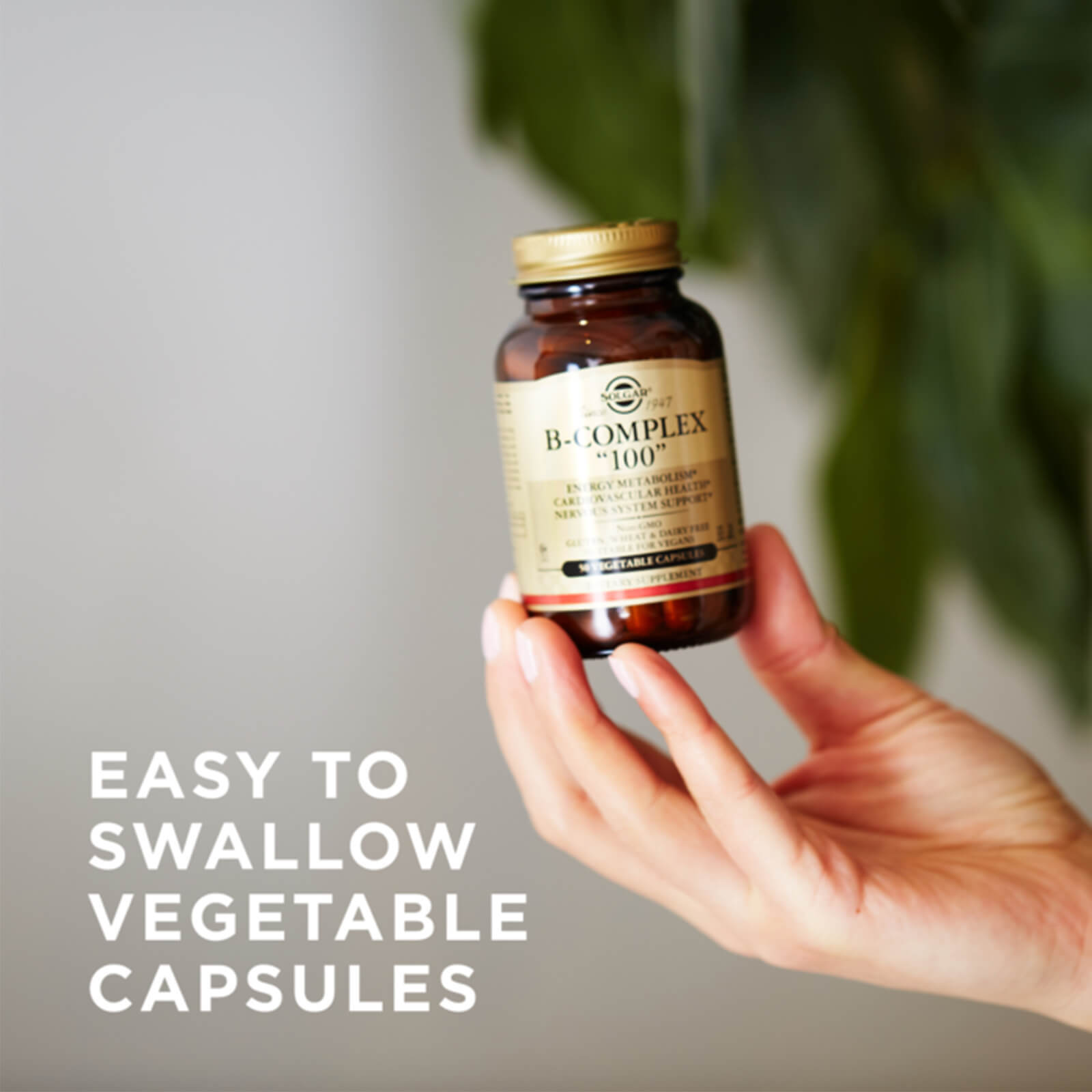 Solgar B-Complex “100” 100 Vegetable Capsules