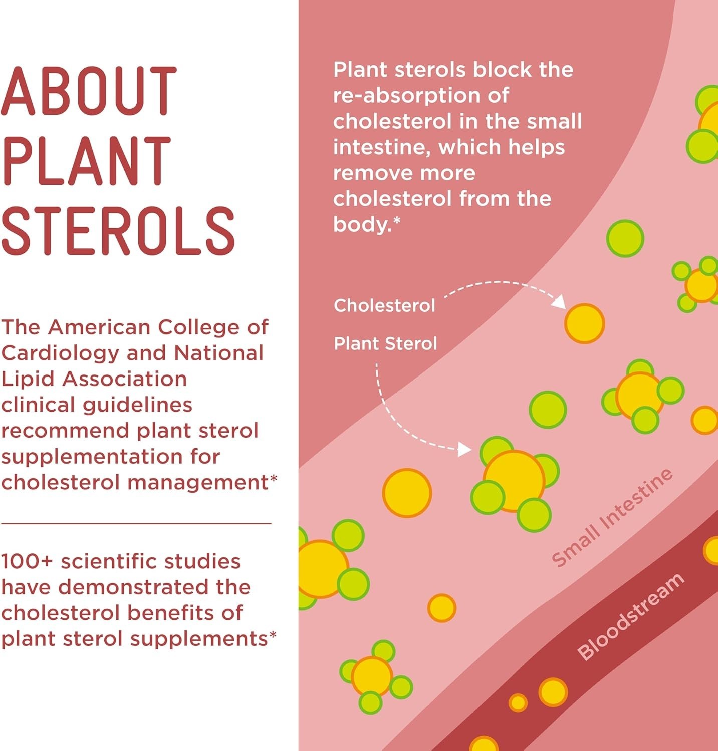 Plant Sterols Healthy Cholesterol Gummy Supplement 2280 mg Plant Sterol Ester…