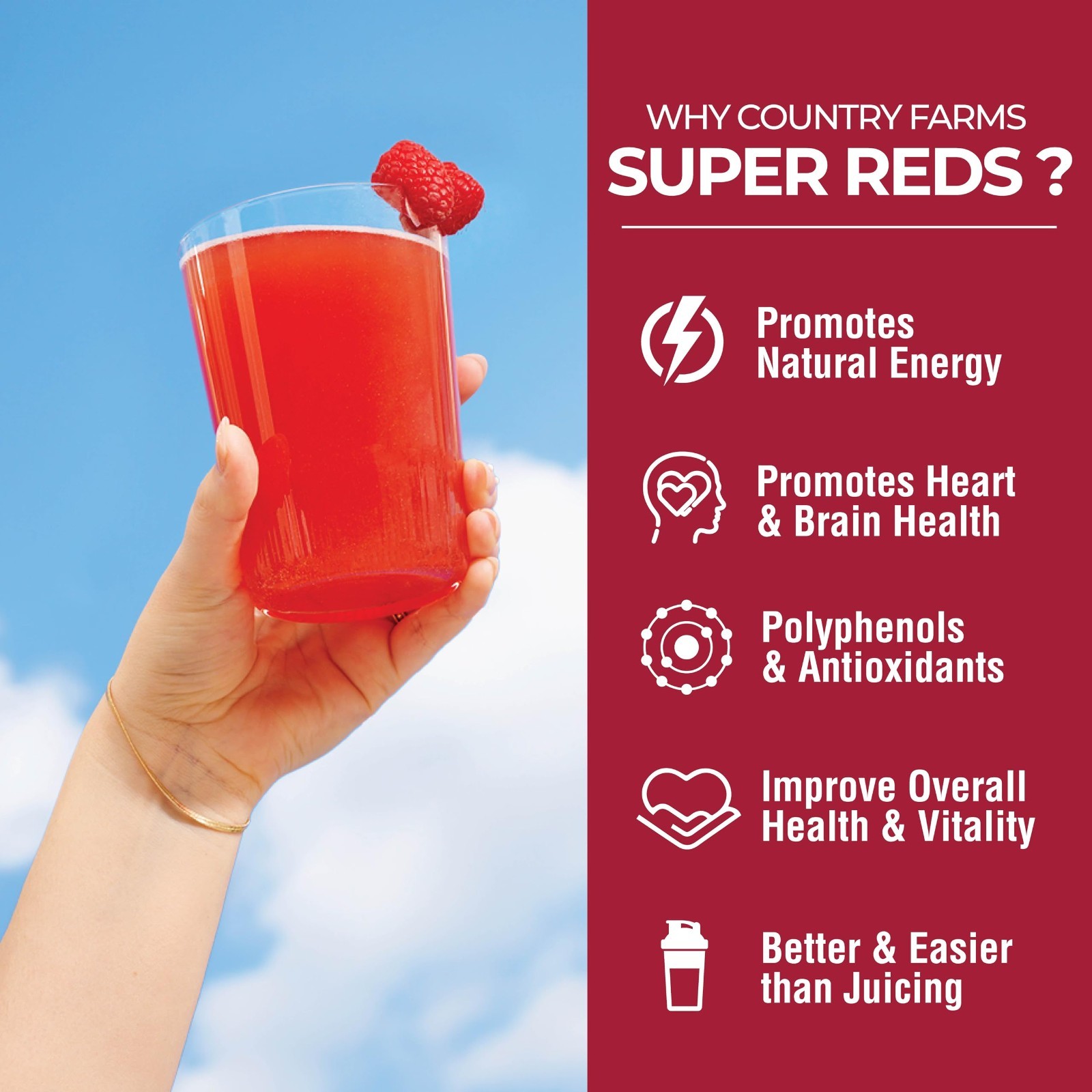 Energizing Polyphenol Superfood – 48 Super Fruits & Berries, Antioxidants, 20 Se
