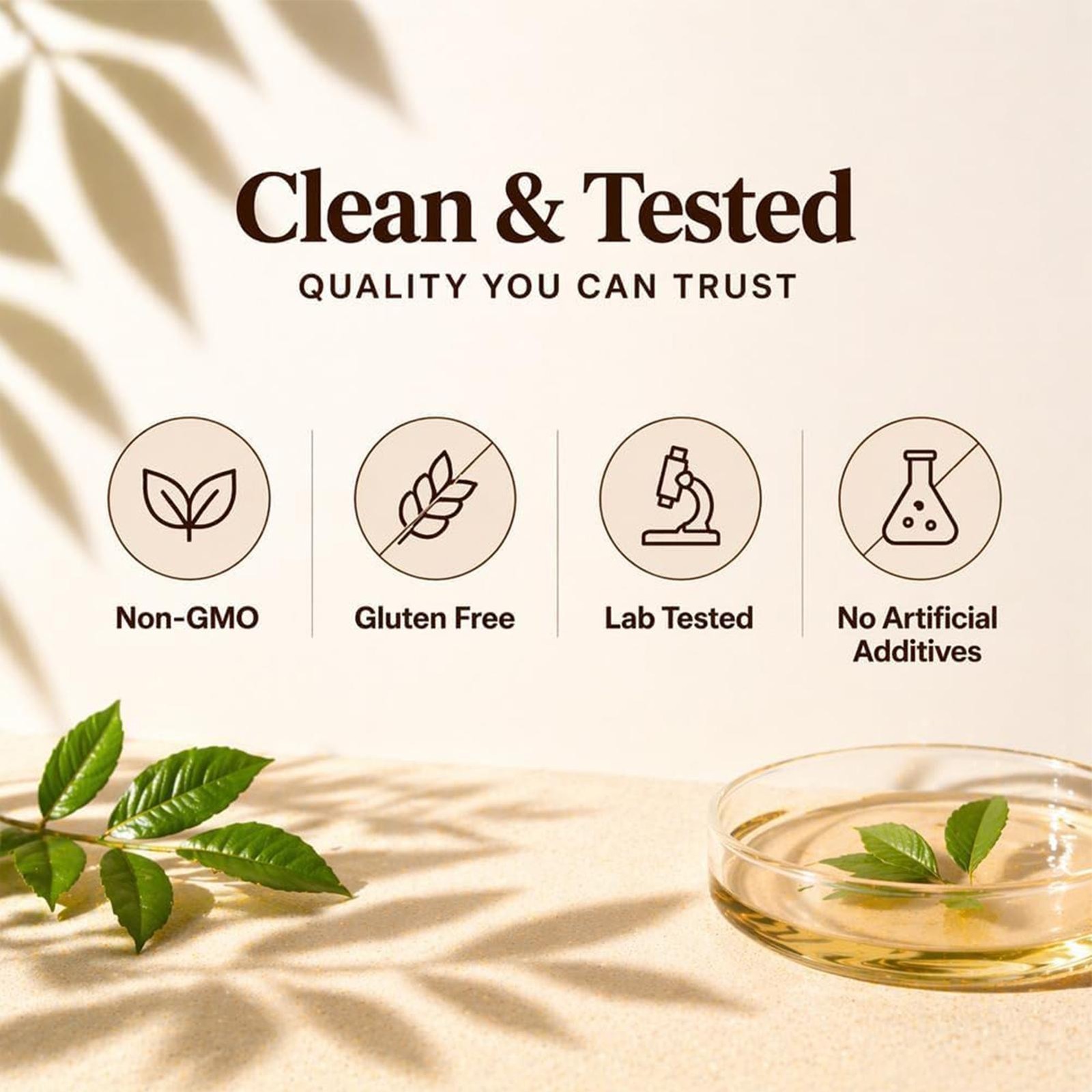 Metabolae Ceylon Cinnamon Capsules With MCT Oil, Non-GMO, Gluten Free, 300pcs