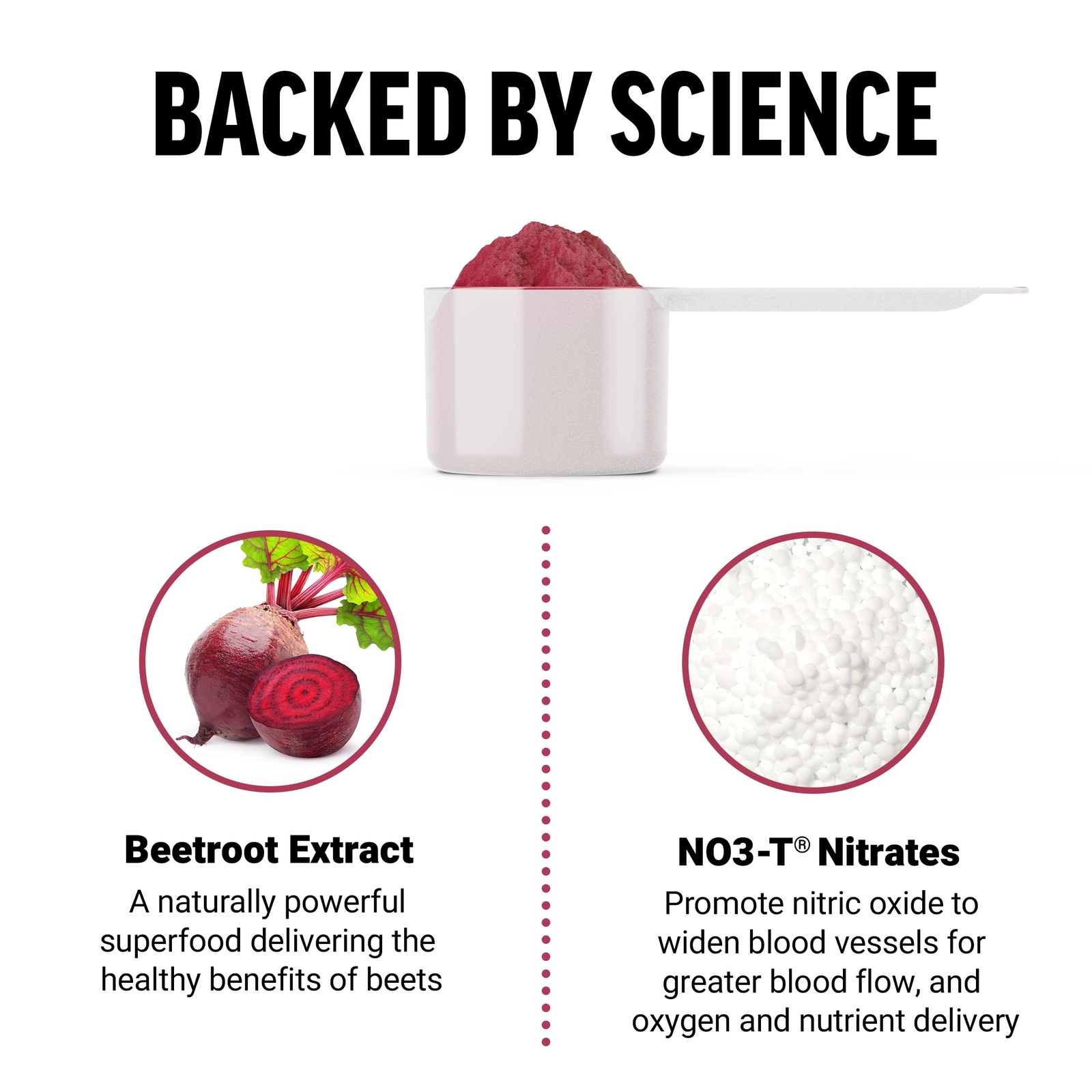 Force Factor Total Beets Circulation Superfood Beet Root Powder Nitric Oxide
