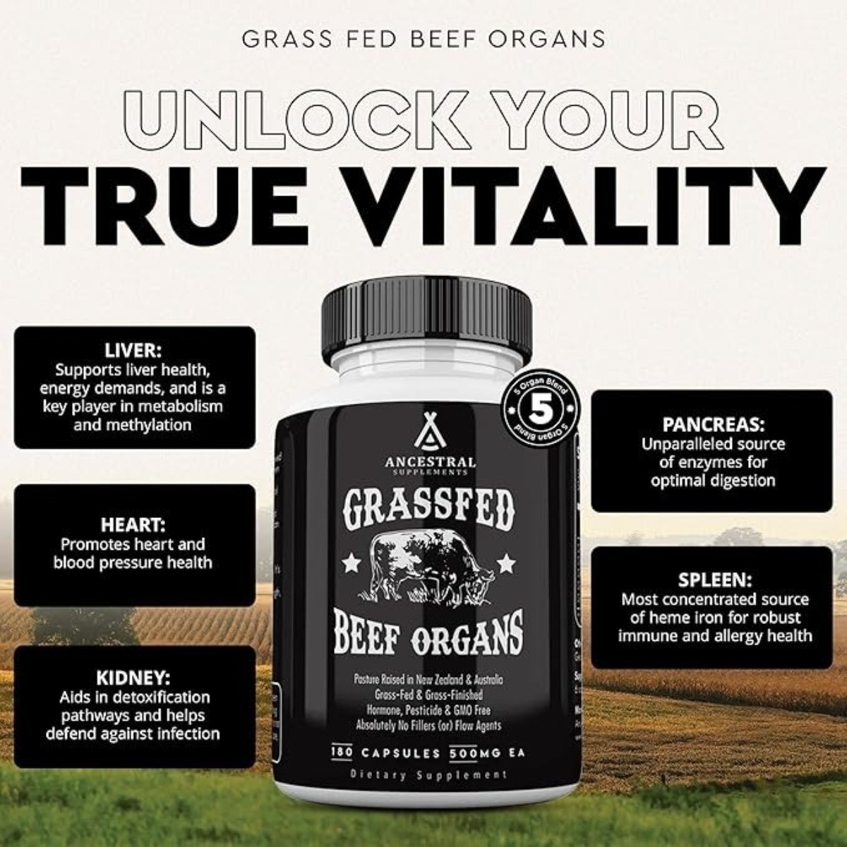 Ancestral Supplements Grass Fed Beef Organ Supplement – Non-GMO, 180 Capsules