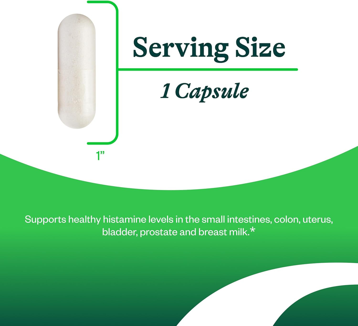 Seeking Health DAO Enzyme – Formerly Histamine Digest | 30 Count Exp 11/26