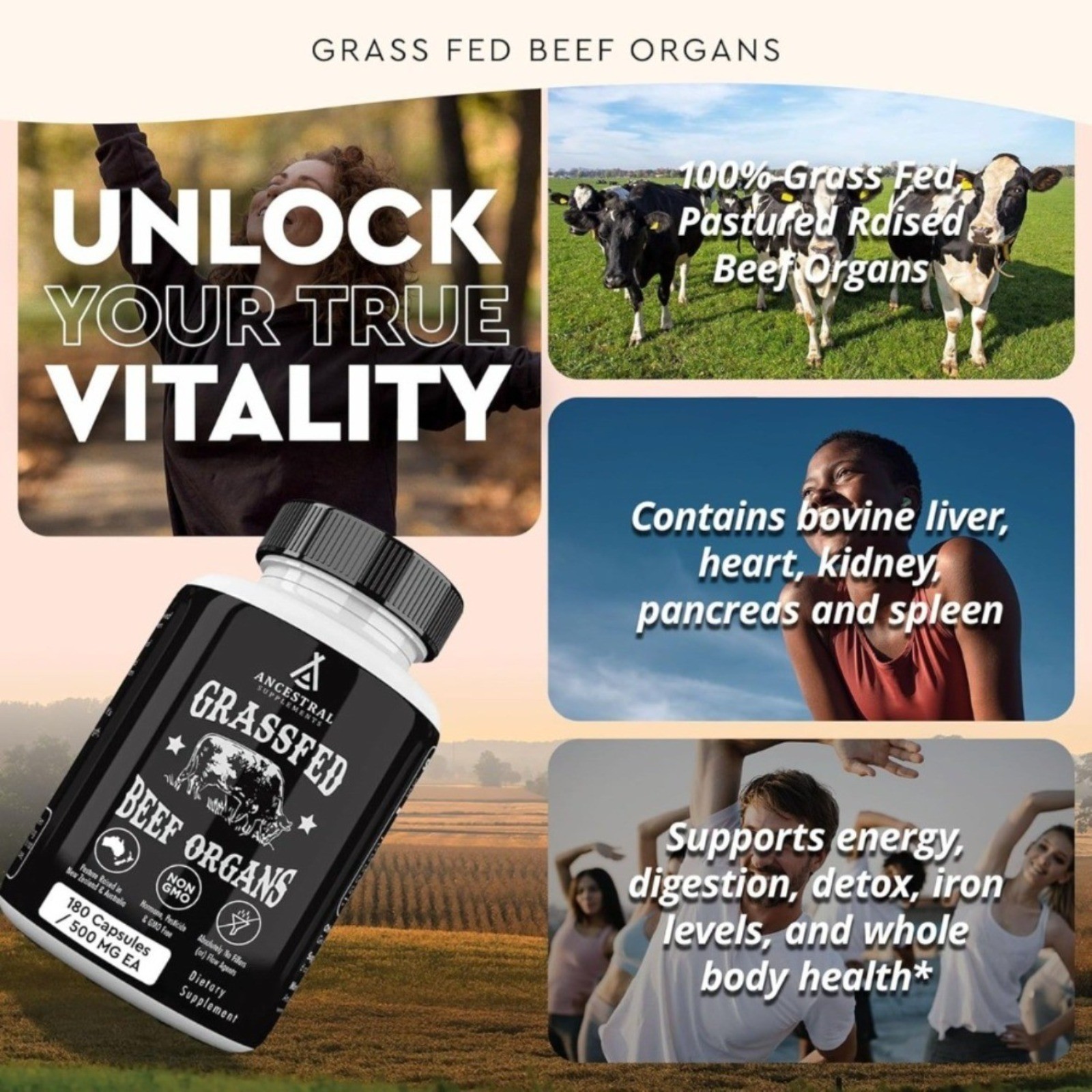 Premium new Ancestral Supplements Grass Fed Beef Organ Supplement 180 Capsules