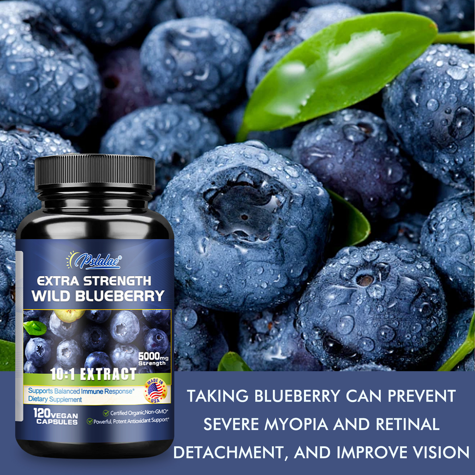 Wild Blueberry – Antioxidant, Brain Health, Boosts Vision Memory, High Strength
