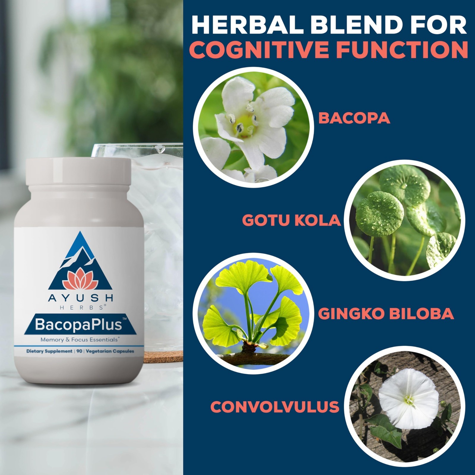 Organic Bacopa Supplements for Memory & Focus, Cognitive Support with Ginkgo & A