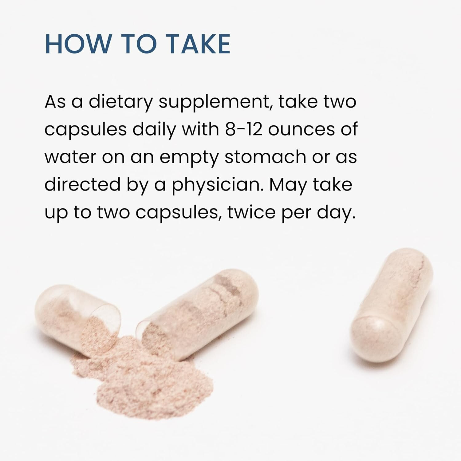 The Wellness Company Original Spike Support Formula 60 Count (Pack of 1)