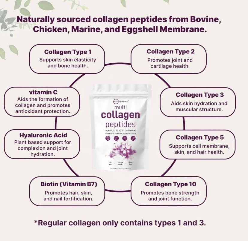Micro Ingredients Multi Collagen Peptides – Types I,II,III,V,X , Unflavored