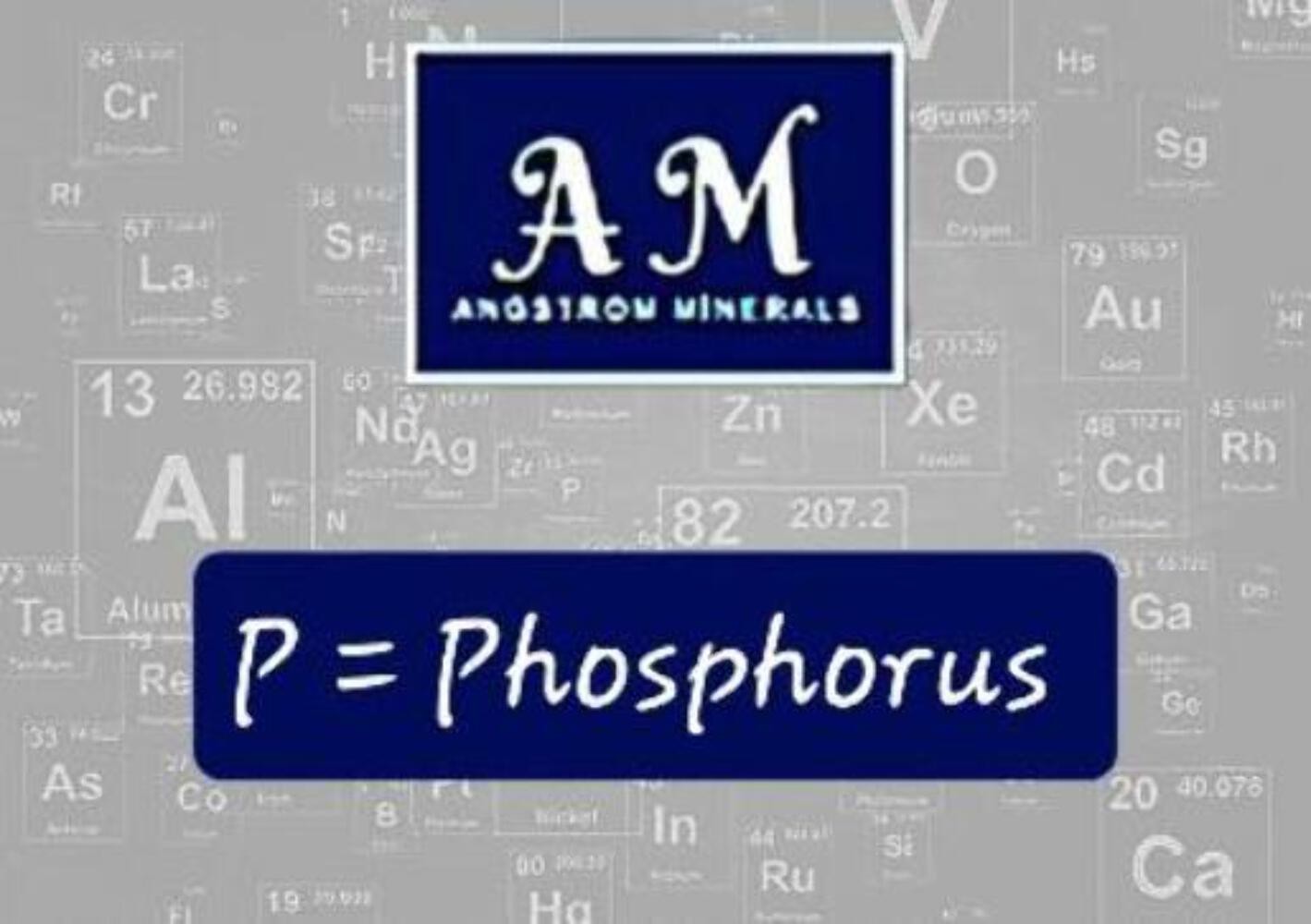32 oz Angstrom Phosphorus Supplement by Angstrom Minerals