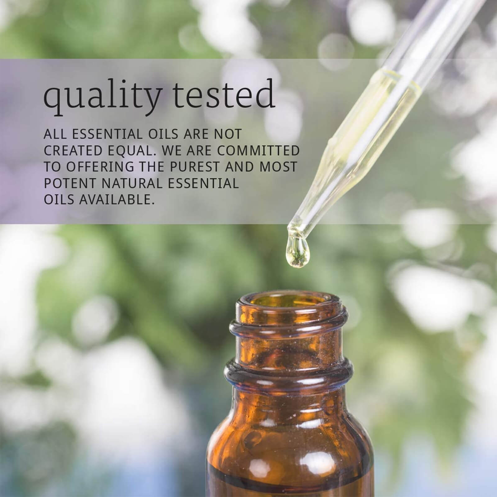 NOW FOODS Turmeric Oil 1 fl oz