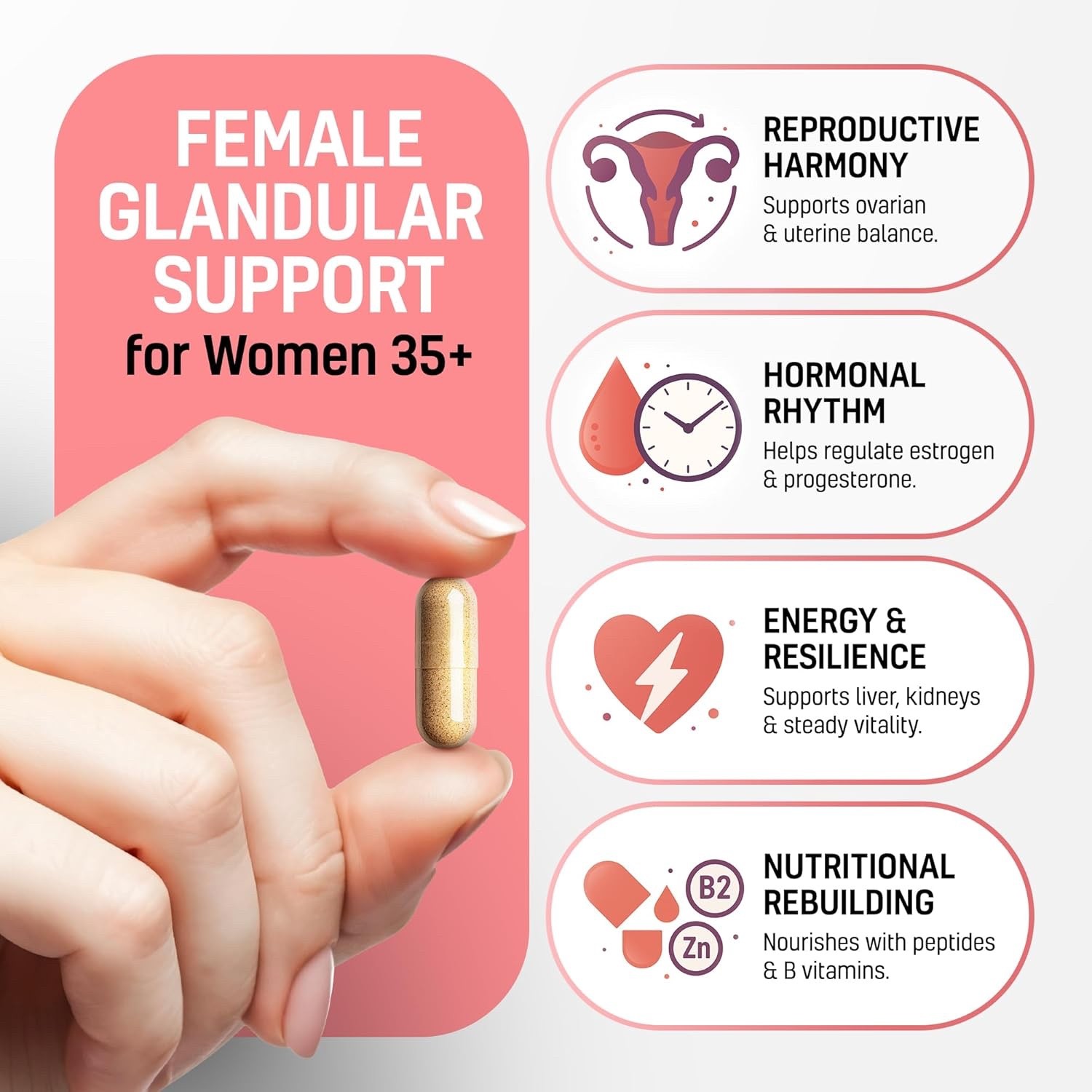 Beef Organ Supplement for Women 6 in 1 Complex Hormone Balance Energy Grass-Fed