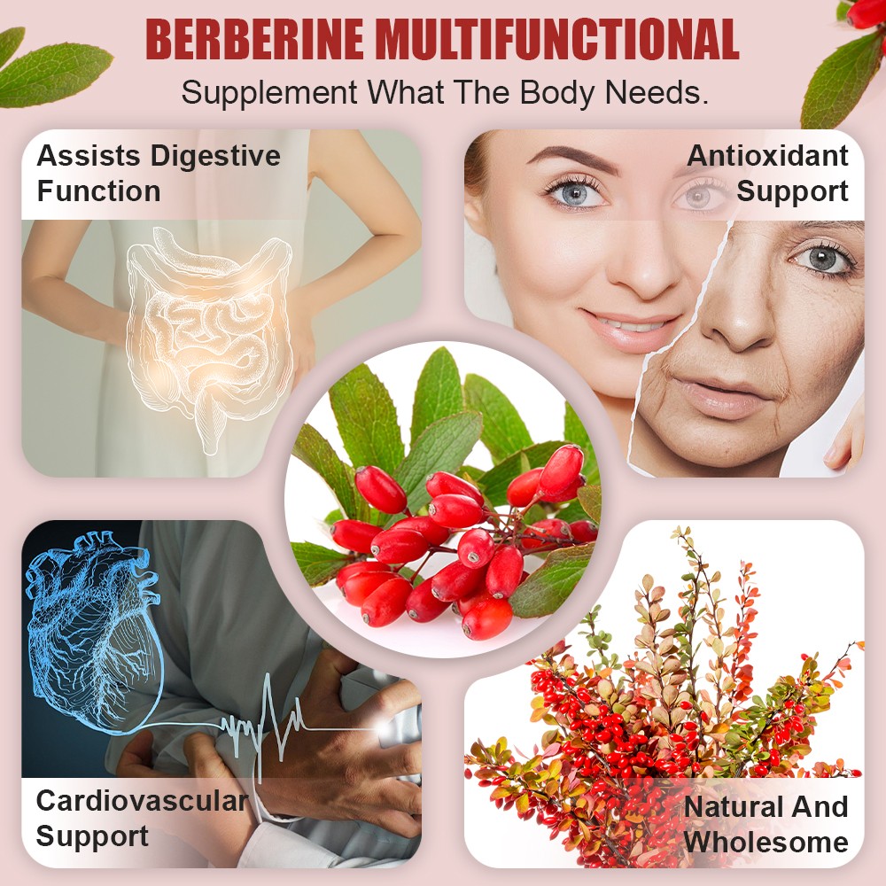 Berberine Hcl 1200Mg Tablet/capsules Support Blood Sugar Supplement Immune Vegan