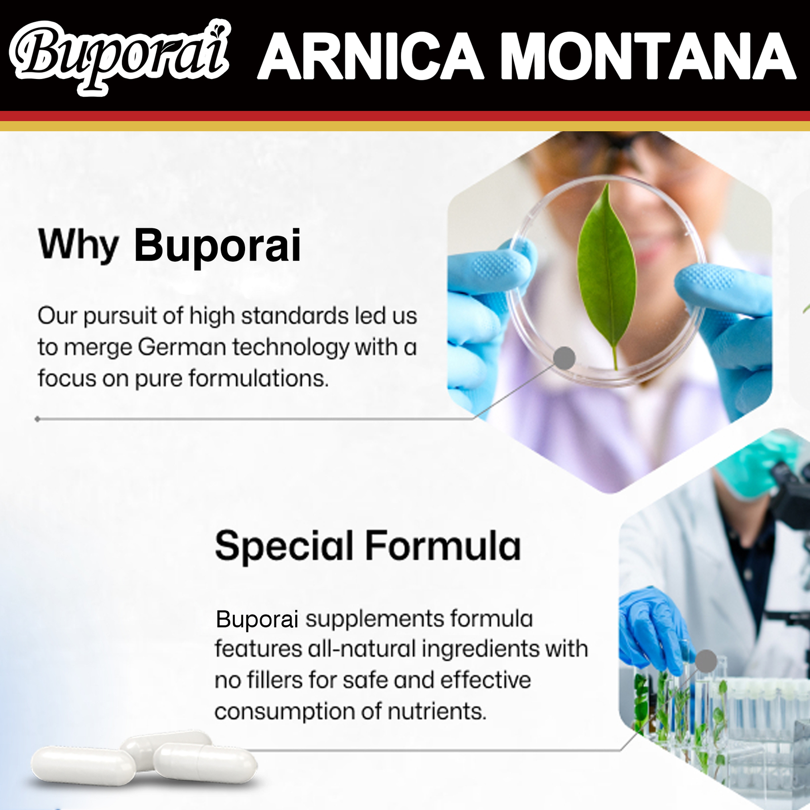 Arnica Montana 500mg -Anti-Inflammatory Support, Reliever for Swelling & Bruises