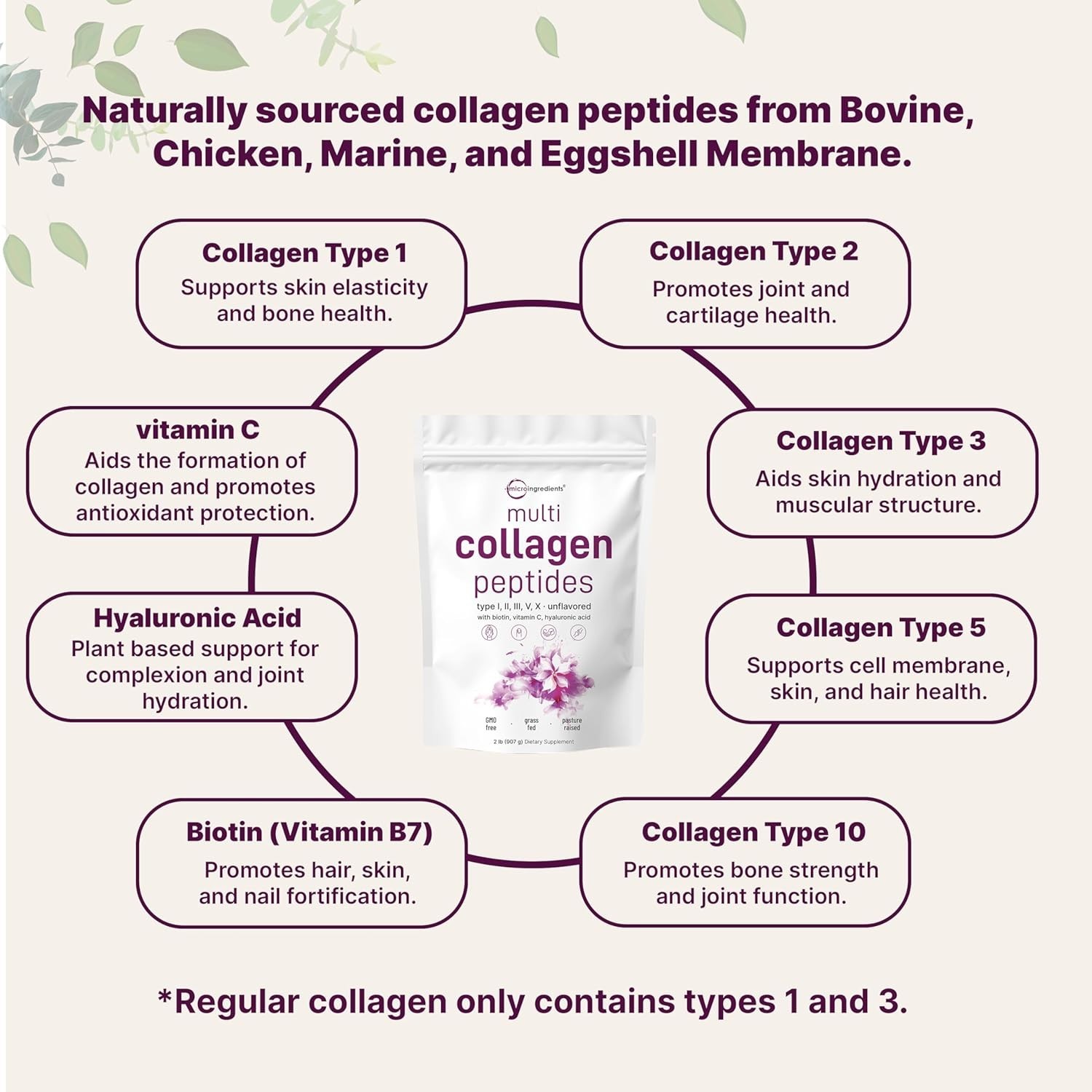 Micro Ingredients Multi Collagen Peptides Powder, 2lb