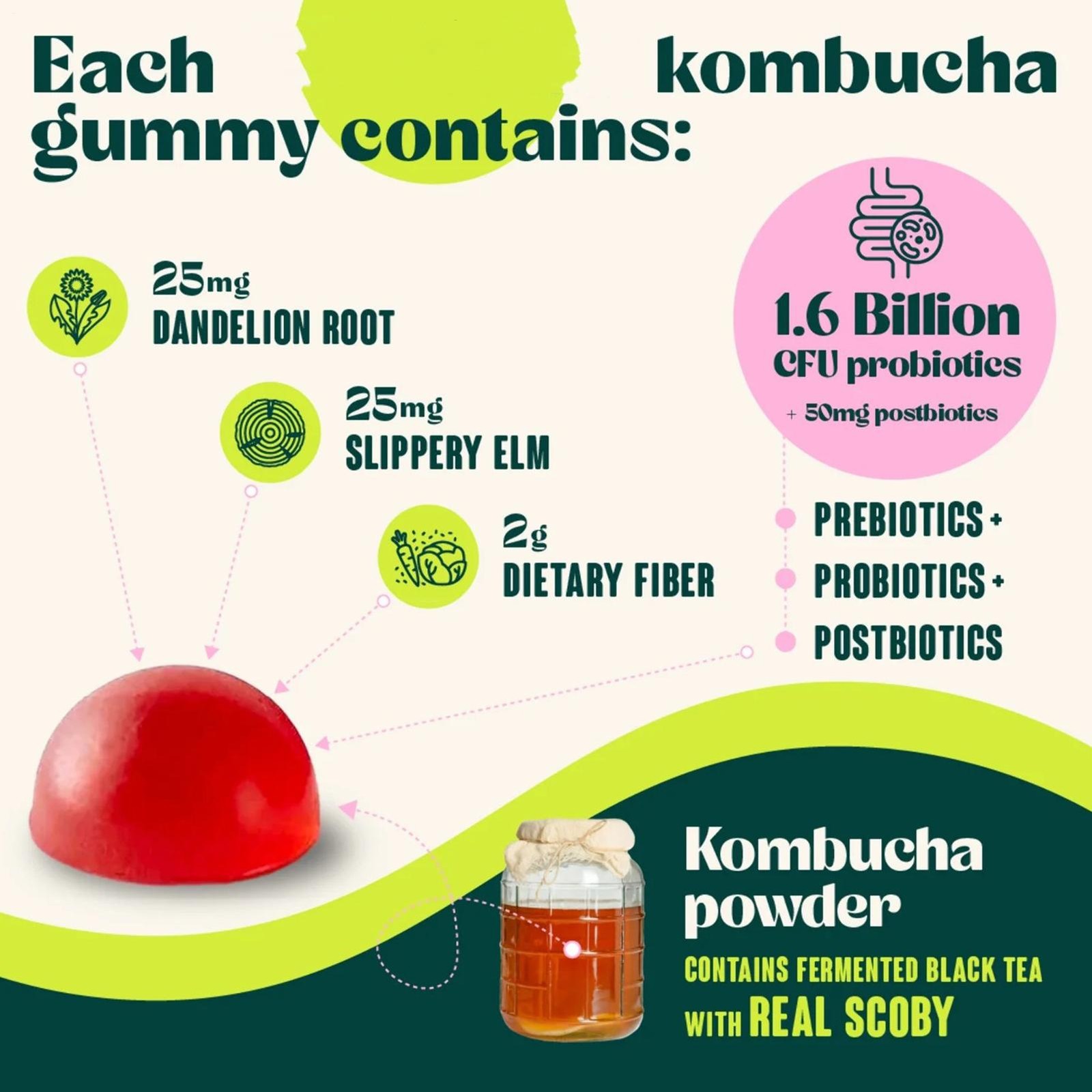 Probiotic Gummy Kombucha – Prebiotics, Fiber Supplement Gut Support 30ct（1-3 PK)
