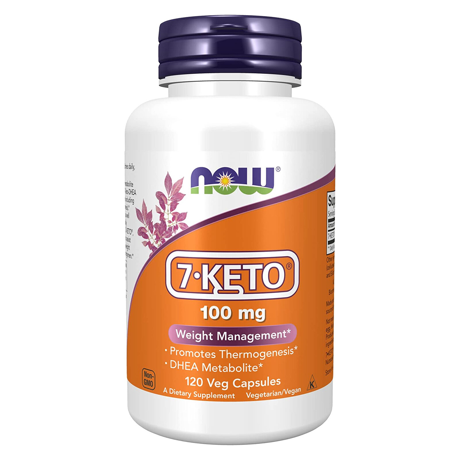 NOW FOODS 7-Keto 100 mg 120 Veg Capsules