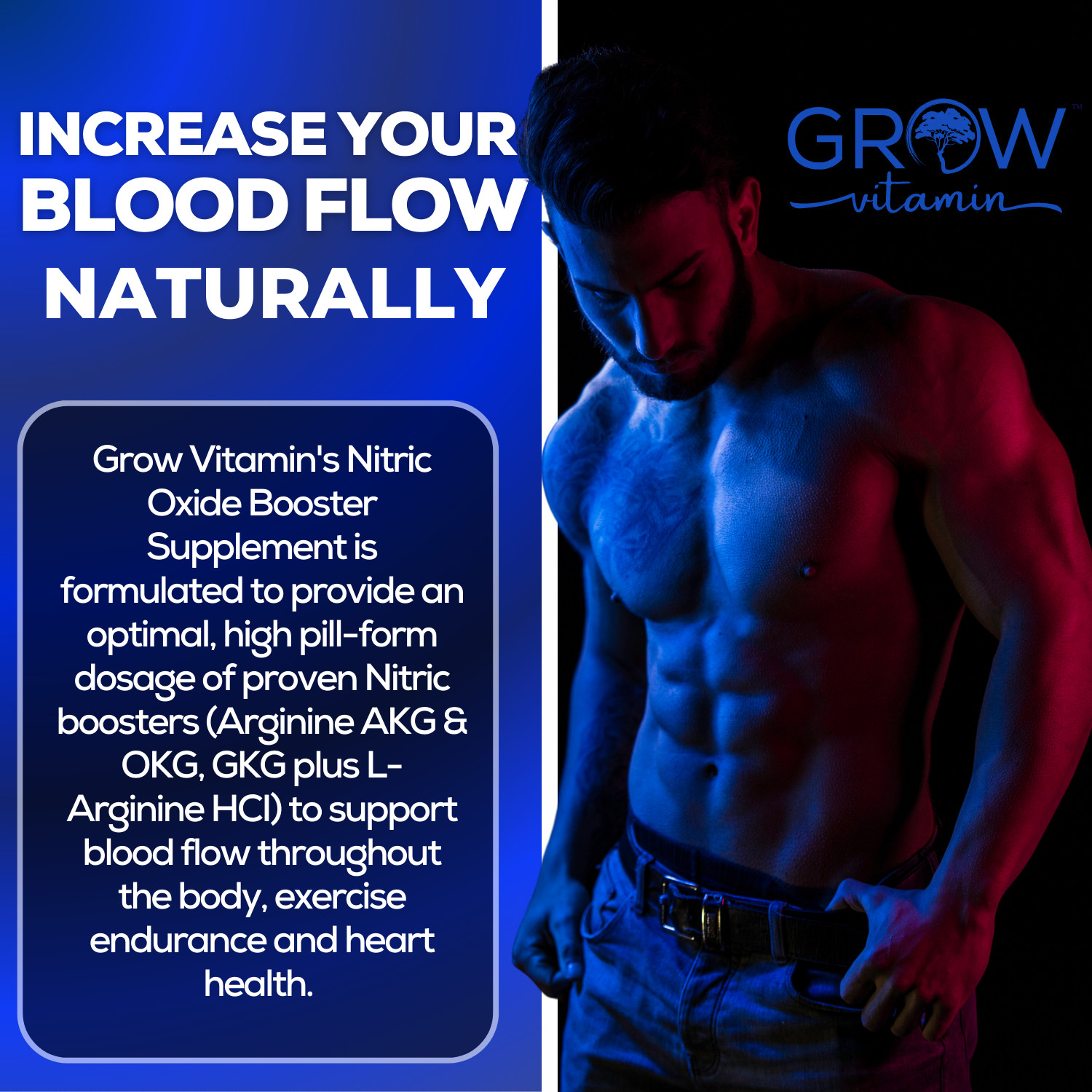 Dr. Emil’s ARGININE Plus – L Arginine + L Citrulline – 2500 MG High Dose NO B…