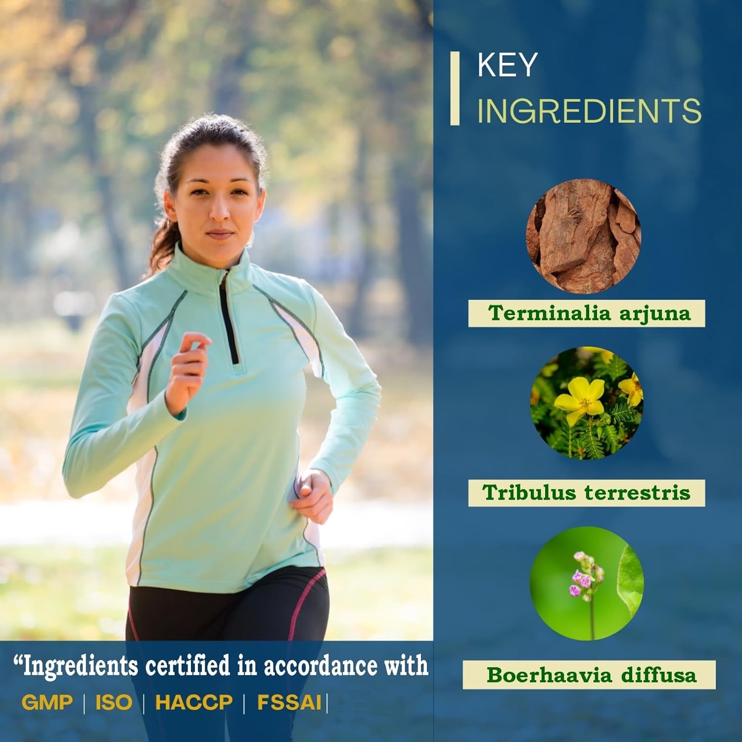Carditone Ayush Herbs 60 caplet for Cardiovascular & Hypertension Support