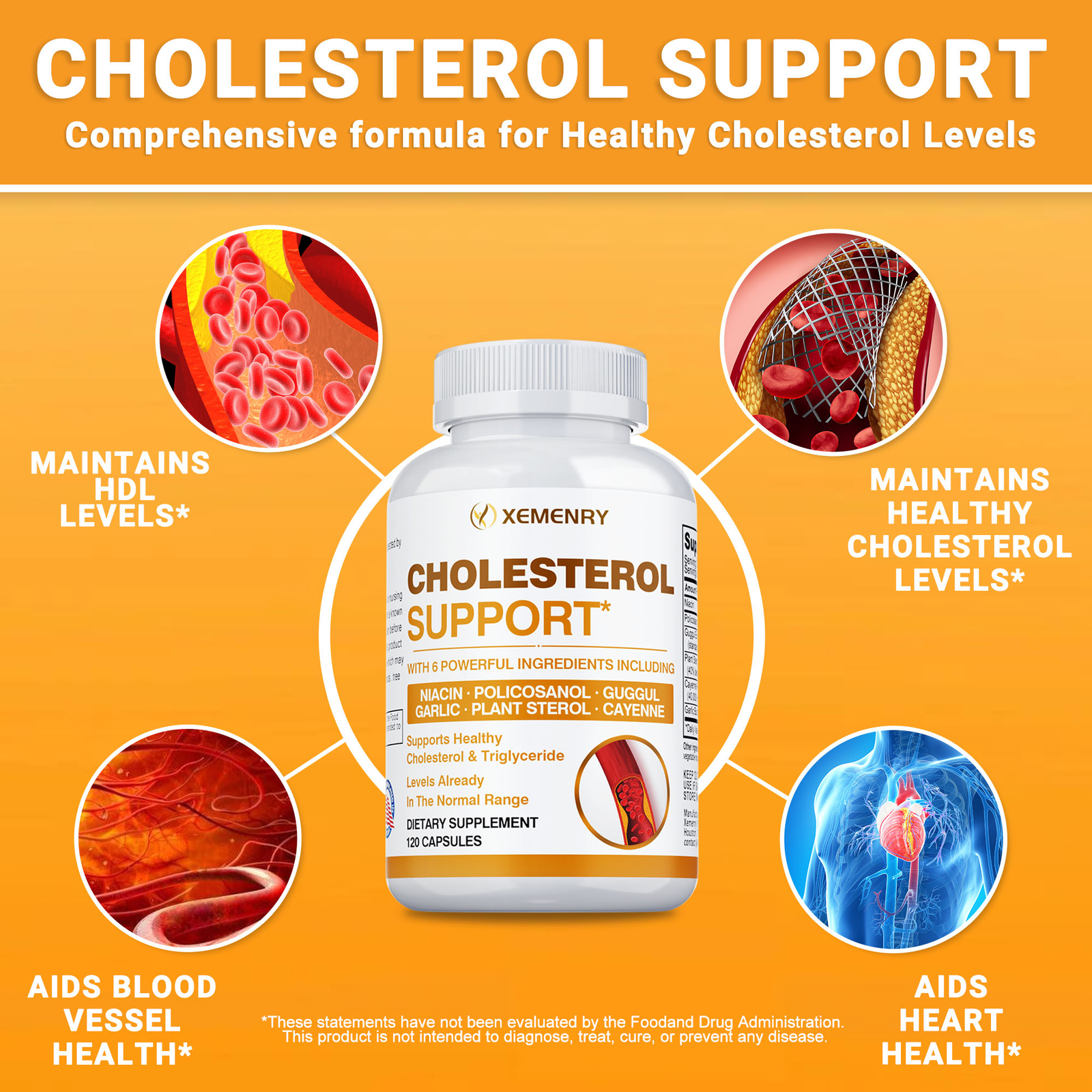 Cholesterol Support 660mg – Heart & Cardiovascular Health – Plant Sterol, Garlic