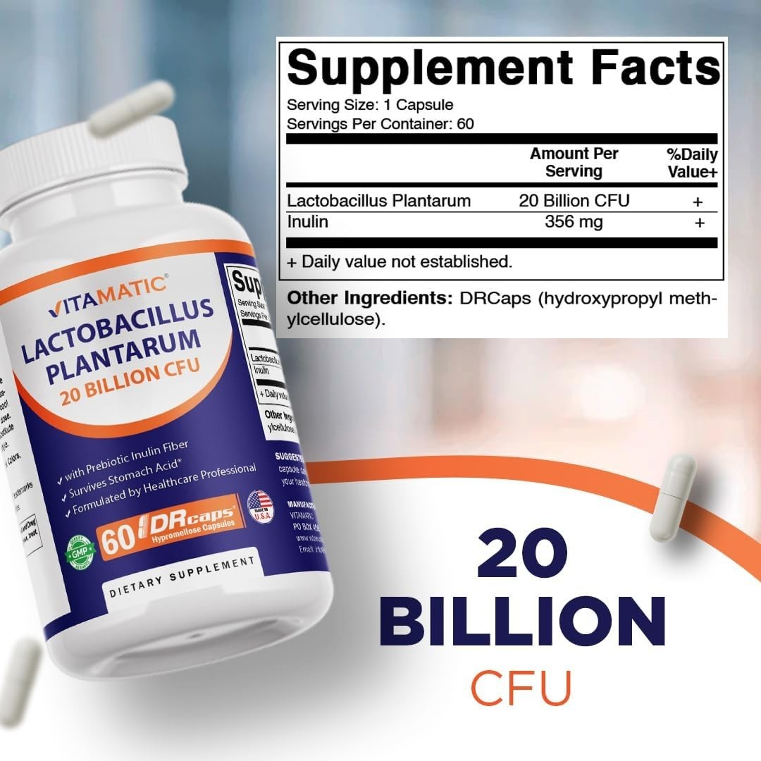 60 Count Lactobacillus Plantarum Capsules with Prebiotic Inulin for Gut Wellness