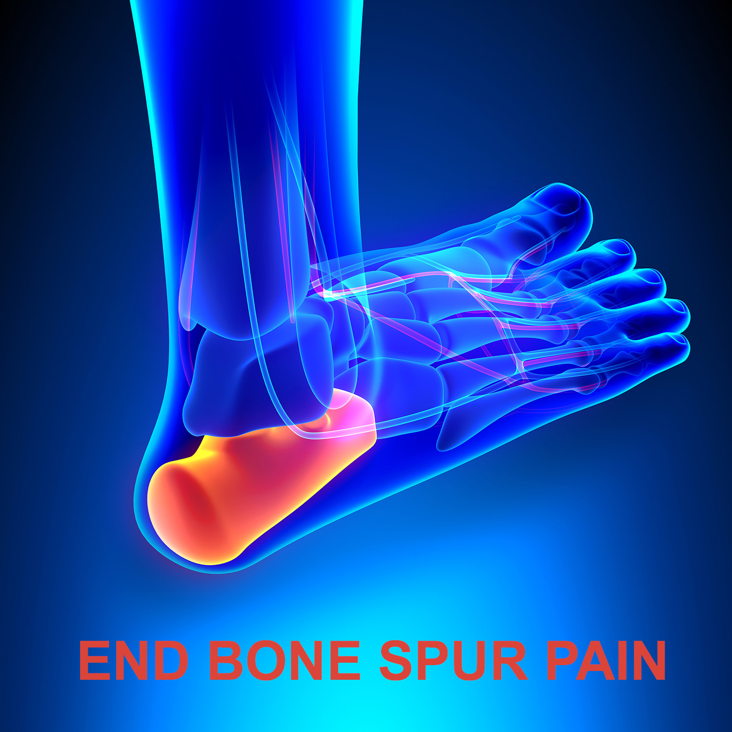 EZorb Calcium (1 Powder) Absorbs 92%, Bone Spurs, Osteoporosis, Arthritis Health