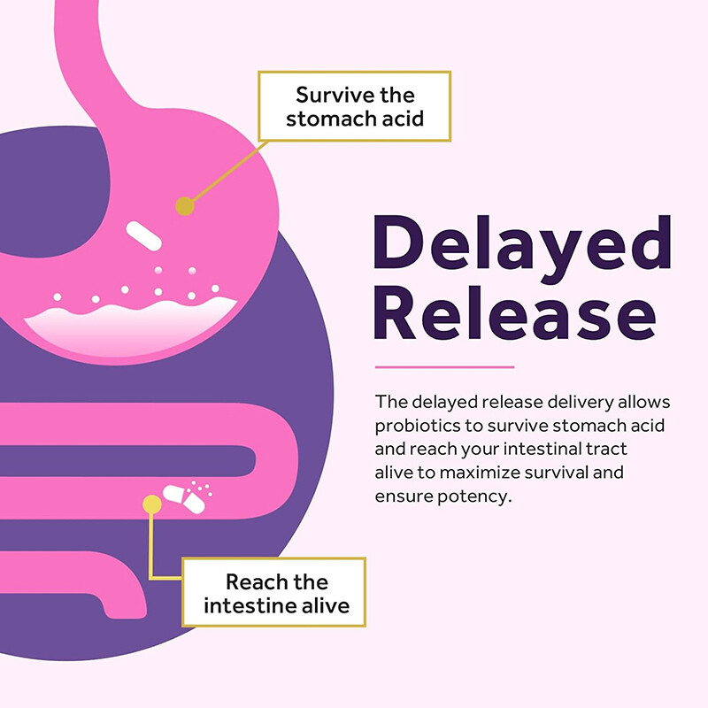 Women’s Probiotics – Prebiotics, Cranberry – Intestinal and Urinary Tract Health