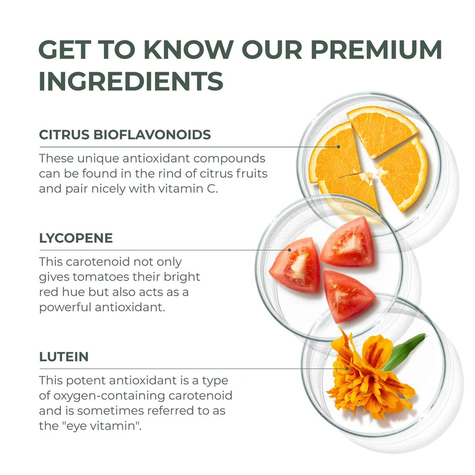 Primal Harvest Health Multivitamin – Minerals – Energy Immune Brain Heart Primal