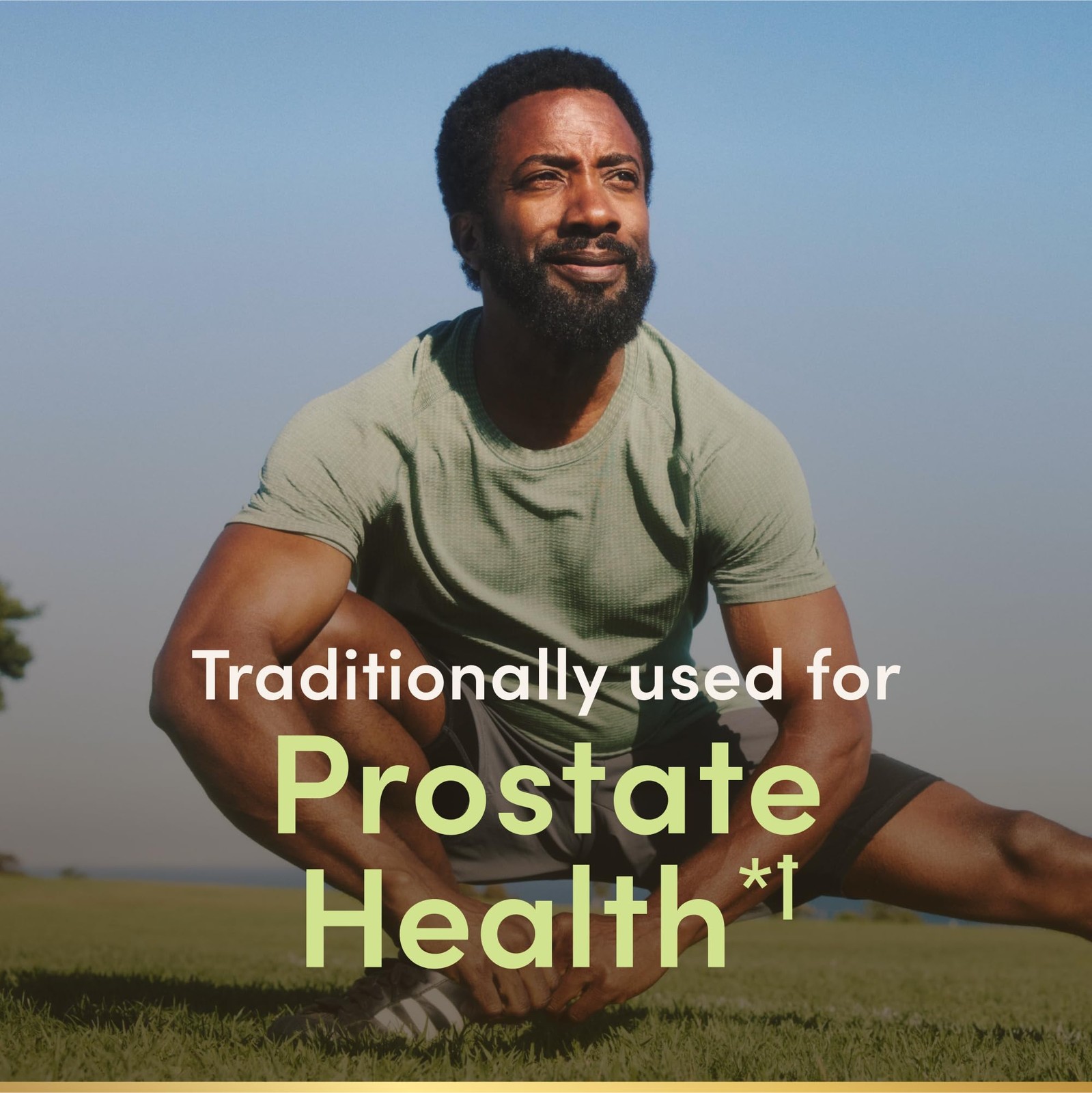 Nature’s Bounty Saw Palmetto Prostate Urinary Health Supplement 450mg 250 Capsul