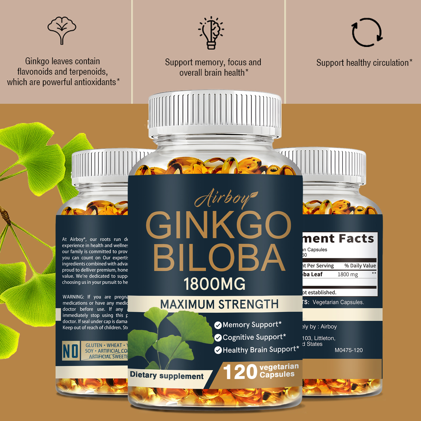 Ginkgo Bilo 1800mg – Healthy Brain, Improve Focus, Memory, and Overall Cognition