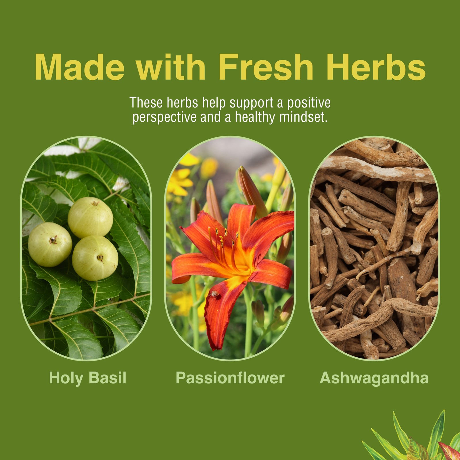 Herbs Etc. Stress ReLeaf 60 Count Softgels