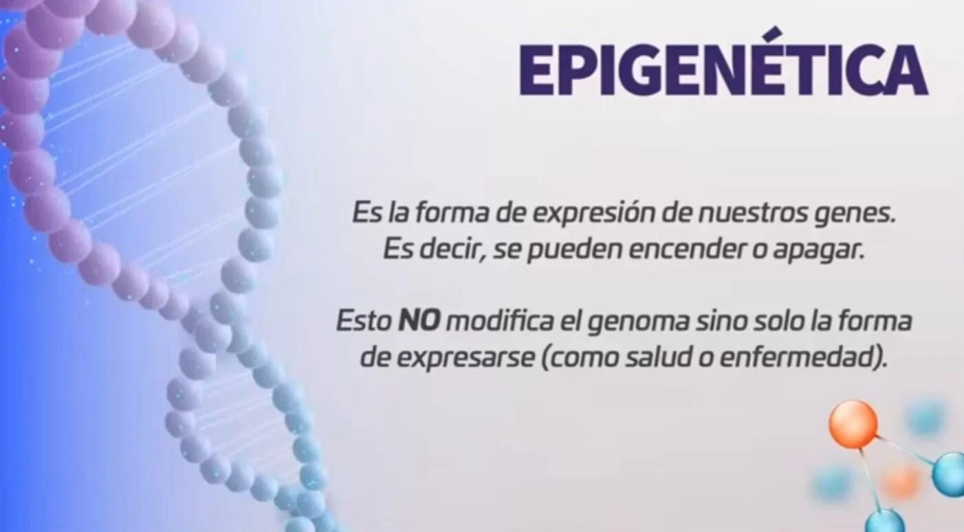 NEW ACTIVZ EPIGENETIC TRIFECTA 3 bottles set 1 LINQ + 1 GNMX + 1 OPTIMEND