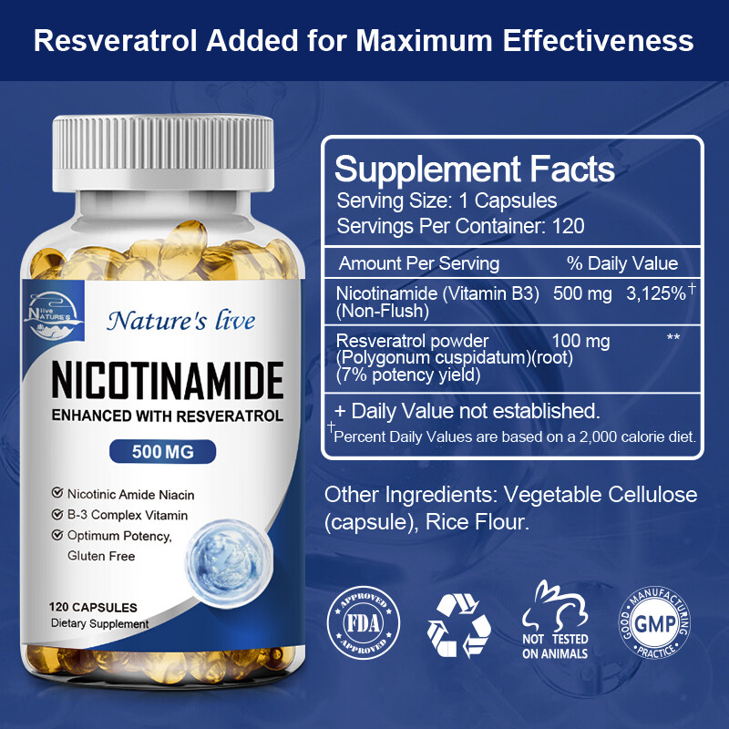 500MG Nicotinamide Vitamin B3 Supplement, 120 Capsules, Anti-aging Skin Health