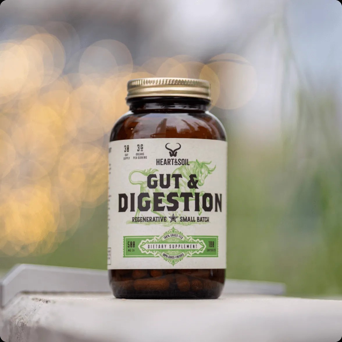 Heart & Soil Gut Digestion