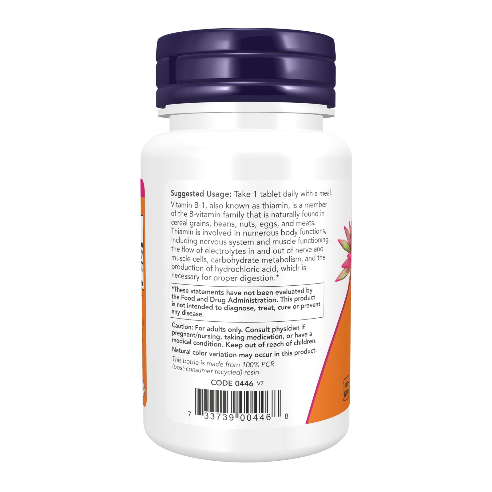 NOW Foods Supplements, Vitamin B-1 100 mg, 100 Count (Pack of 1), White
