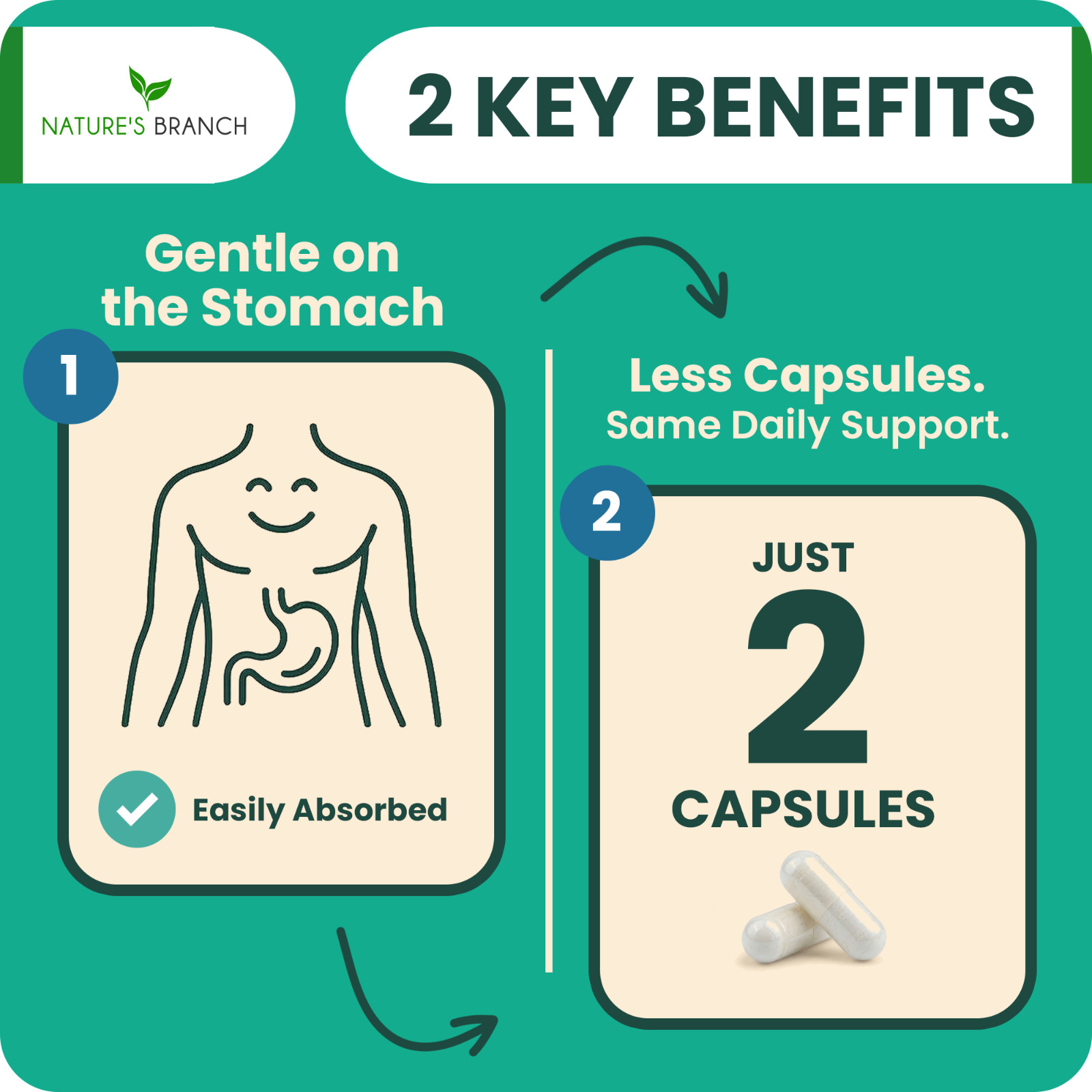 MAGNESIUM TAURATE 400 MG – 200 Casules – High Absorption | Non-GMO | Made in USA